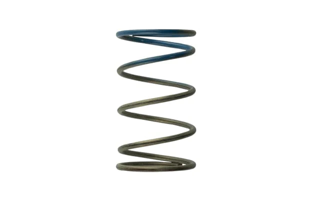Wastegate Spring TS-0505-2005