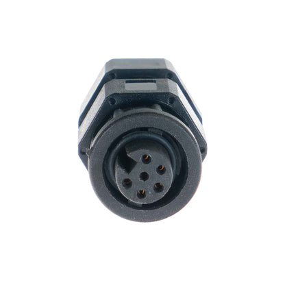 Plug (CANF)