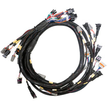 Link Replacement Base Harness GM LS GEN3/4