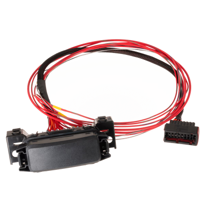 Link LS Harness - Fuse and Relay Box