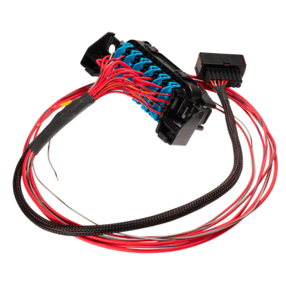 Link LS Harness - Fuse and Relay Box