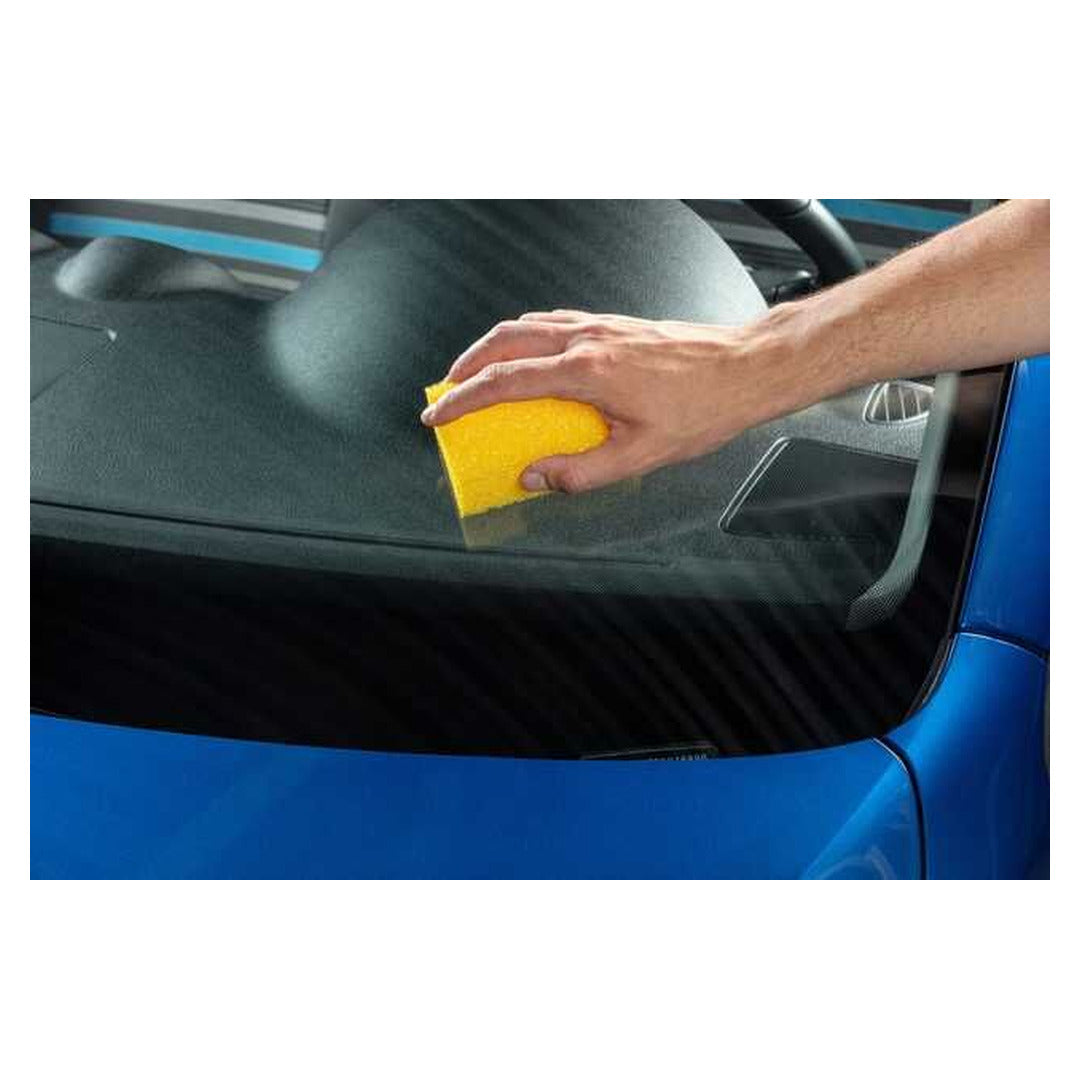LIQUI MOLY INSECT REMOVAL SPONGE