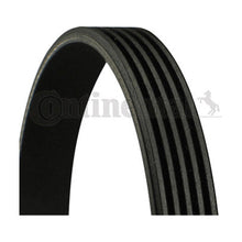 5PK906 V-Ribbed Belt - Continental