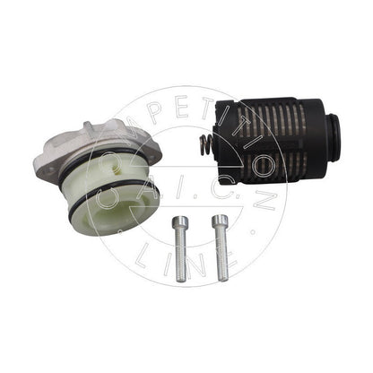 Audi VW Haldex Filter Kit - AIC 70757