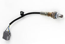 Haltech Wideband O2 Sensor NTK LZA08-H5 - 4mA