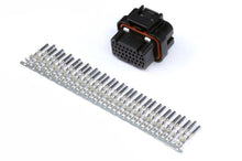 Haltech Plug and Pins Only AMP 34 Pin 4 Row 3 Key Superseal HT-030009