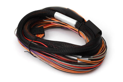 Haltech IO 12 Expander Box - 2.5m/8ft Flying Lead Harness Only HT-049902