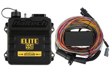 Haltech Elite 550 + Premium Universal Wire-in Harness Kit Length: 2.5m (8')