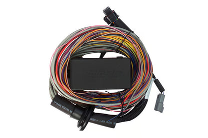 Haltech Elite 550 + Premium Universal Wire-in Harness Kit Length: 2.5m (8')
