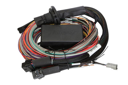 Haltech Elite 1500 + Premium Uni Wire-in Harness Kit 2.5m (8) HT-150904