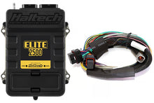 Haltech Elite 2500 + Basic Universal Wire-in Harness Kit Length: 2.5m (8')