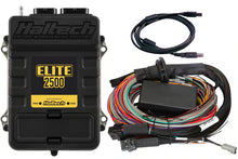 Haltech Elite 2500 + Premium Universal Wire-in Harness Kit Length: 2.5m (8')