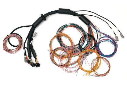 Haltech Nexus R3 Universal Wire-in Harness - 2.5m (8') - HT-183200