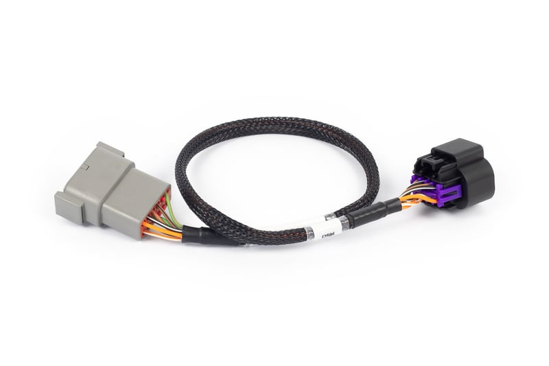 Haltech Nexus Rebel LS - 8-pin DBW adaptor - HT-186506
