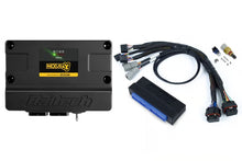 Haltech Nexus S3 Plug 'n' Play Adapter Harness Kit - Nissan Silvia S15
