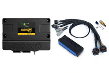 Haltech Nexus S3 Plug 'n' Play Adapter Harness Kit - Nissan Skyline R32/R33/R34 GT-R
