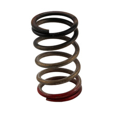 Turbosmart GenV WG HP 40psi Spring (Black/Red)