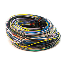 Link B Loom Short (0LB)
