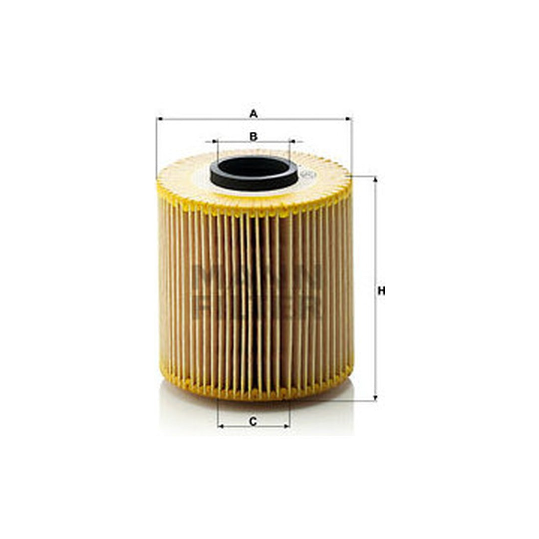 BMW Engine Oil Filter Kit - Mann HU921X