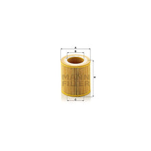 BMW Engine Oil Filter - Mann 11427953125