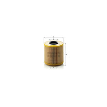 BMW Engine Oil Filter Kit - Mann HU921X