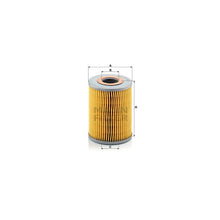 BMW Engine Oil Filter - Mann H1038