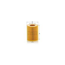 Volvo Land Rover Engine Oil Filter Kit - Mann 30750013