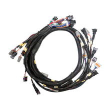 Link G4X StormX ECU + Terminated LS Engine Harness Drive-by-Cable Bundle