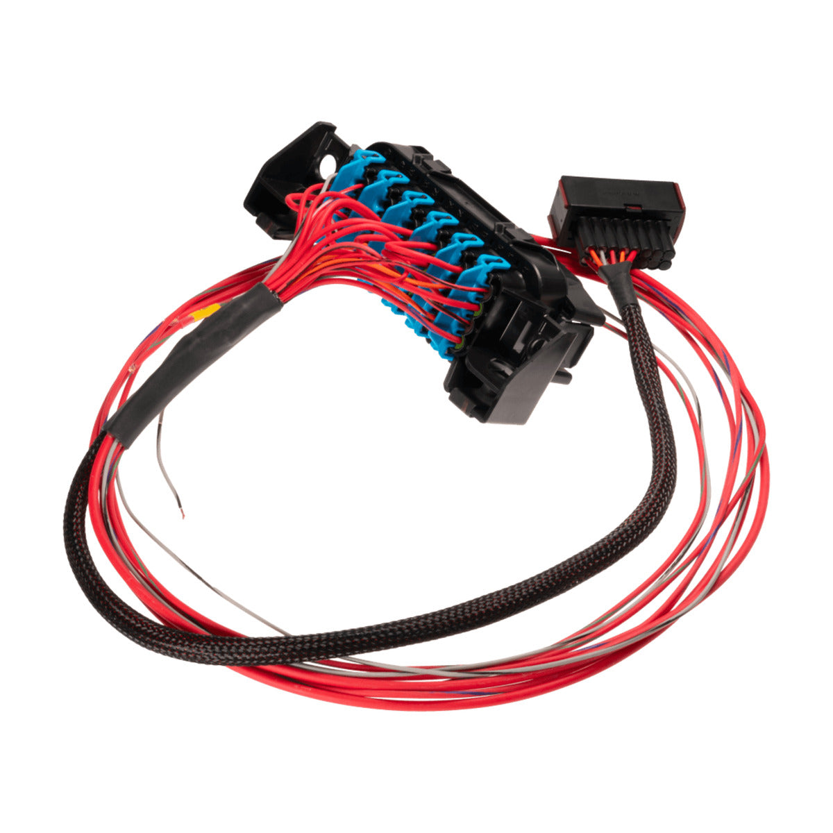 Link LS Harness - Fuse and Relay Box