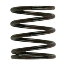 Gen4 IWG/WG38/40/45/50L 3PSI Inner Spring - Brown / Black