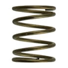 Turbosmart GenV WG45/50 3psi Orange Inner Spring