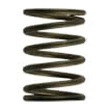 Turbosmart GenV WG38/40 3psi Black Inner Spring