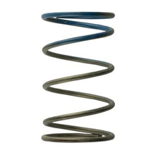 Turbosmart Gen4 IWG WG38/40/45/50L 10PSI Outer Spring Brown / Blue