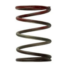 Turbosmart Gen4 / IWG WG38/40/45/50L 11PSI Middle Spring - Brown / Red